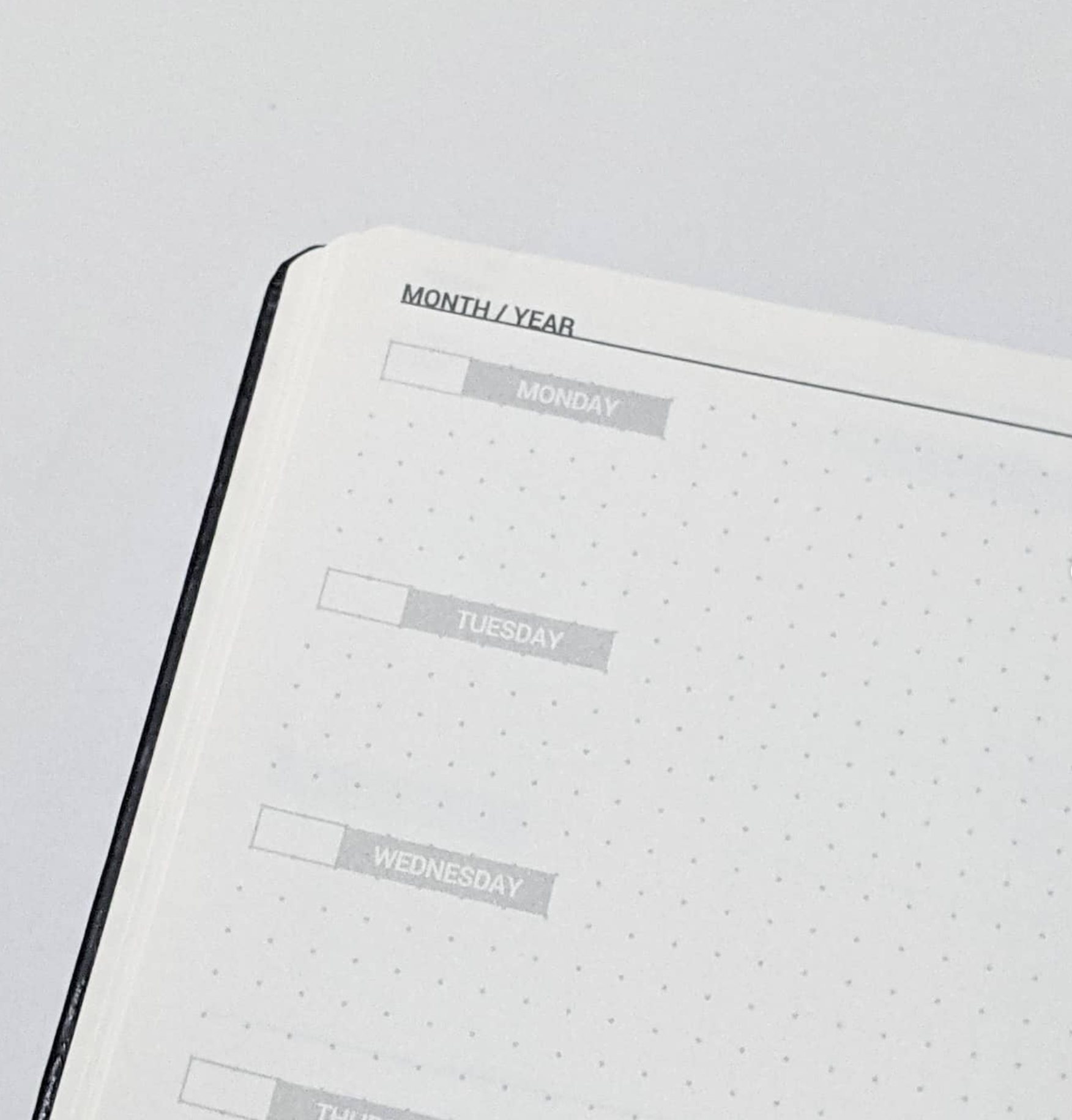 6 Month Dateless Planner